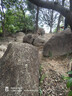 骆驼（CAMEL）【盘龙】户外登山鞋男女越野运动跑鞋防泼水防滑徒步鞋  5182  42 实拍图