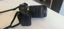 佳能（Canon）EOS RP 全画幅微单相机 4K Vlog视频直播家用旅行照相机 RF24-105mm IS STM标准变焦 旅行畅玩套装 实拍图