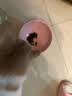 素力高（SolidGold）猫粮金素鸡升级款 成幼猫进口高蛋白12磅/5.44kg 实拍图