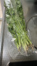 带根香菜100g 实拍图