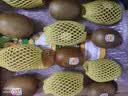 佳沛（zespri）新西兰 阳光金奇异果12粒特大果单果124-146g 猕猴桃水果礼盒 实拍图