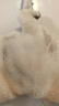 麦富迪狗粮 藻趣儿狗粮成犬粮牛肉螺旋藻 均衡营养2.5kg 实拍图