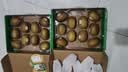 佳沛（zespri）新西兰 阳光金奇异果12粒特大果单果124-146g 猕猴桃水果礼盒 实拍图