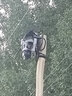镭威视4g太阳能摄像头终身免流量AI室外免插电无电无网手机远程户外监控器家用360度无死角高清全景夜视 实拍图