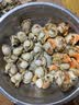 鲜项大号冷冻带黄扇贝肉净重2斤约80-120粒烧烤火锅食材海鲜贝类送礼 实拍图
