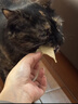 生生不息宠物零食猫犬通用 冻干猪心80g 实拍图