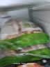 西鲜汇甘肃黄牛 新鲜原切牛排骨净重4斤 牛肉生鲜炒菜炖煮食材 源头直发 实拍图