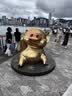 小熊（Bear）便携式烧水壶 折叠烧水杯 旅行电热水壶 316不锈钢宿舍出差恒温烧水壶 ZDH-C06G3 实拍图