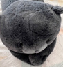 野兽派家居（tbh）懒蓝猫长条抱枕靠垫卧室夹腿办公室抱枕沙发可爱腰枕车载抱枕 实拍图
