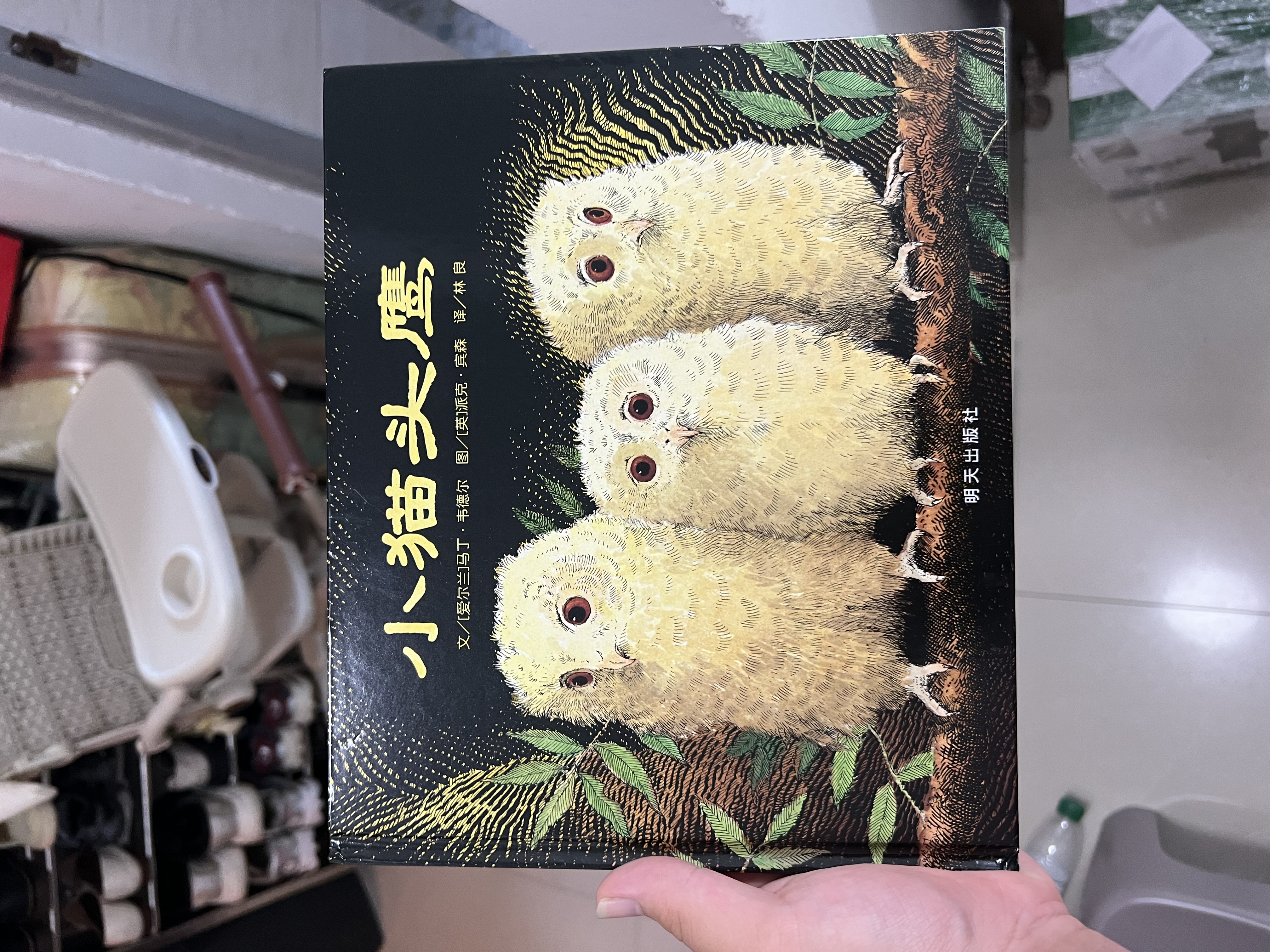 【信谊】小猫头鹰（3-8岁）  母爱亲情温馨亲子互动童书绘本  实拍图