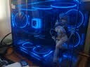 九州风神（DEEPCOOL）冰果360PRO黑色一体式水冷散热器/PWM调速水泵/升级高性能ARGB风扇/3年质保 实拍图