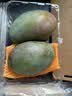 京鲜生 【自然熟】 凯特芒果 3斤装 大果 单果700g 生鲜水果 实拍图