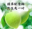 达利园青梅绿茶青梅果汁饮品果味茶饮料500ml*15瓶夏日酸甜饮料整箱装 实拍图