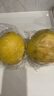 广西正宗开园头茬红心蜜柚三红柚佰果琯溪红心柚子当季新鲜水果 单果重1.5-2斤【2粒装】 实拍图