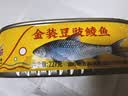 鹰金钱金装豆豉鲮鱼罐头 中华老字号广东特产即食海鲜鱼下饭预制菜 227g 实拍图