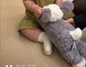 Jellycat唐布利牧羊犬动物毛绒玩偶安抚玩具狗公仔娃娃送礼七夕情人节礼物 唐布利牧羊犬礼盒装 Medium 实拍图