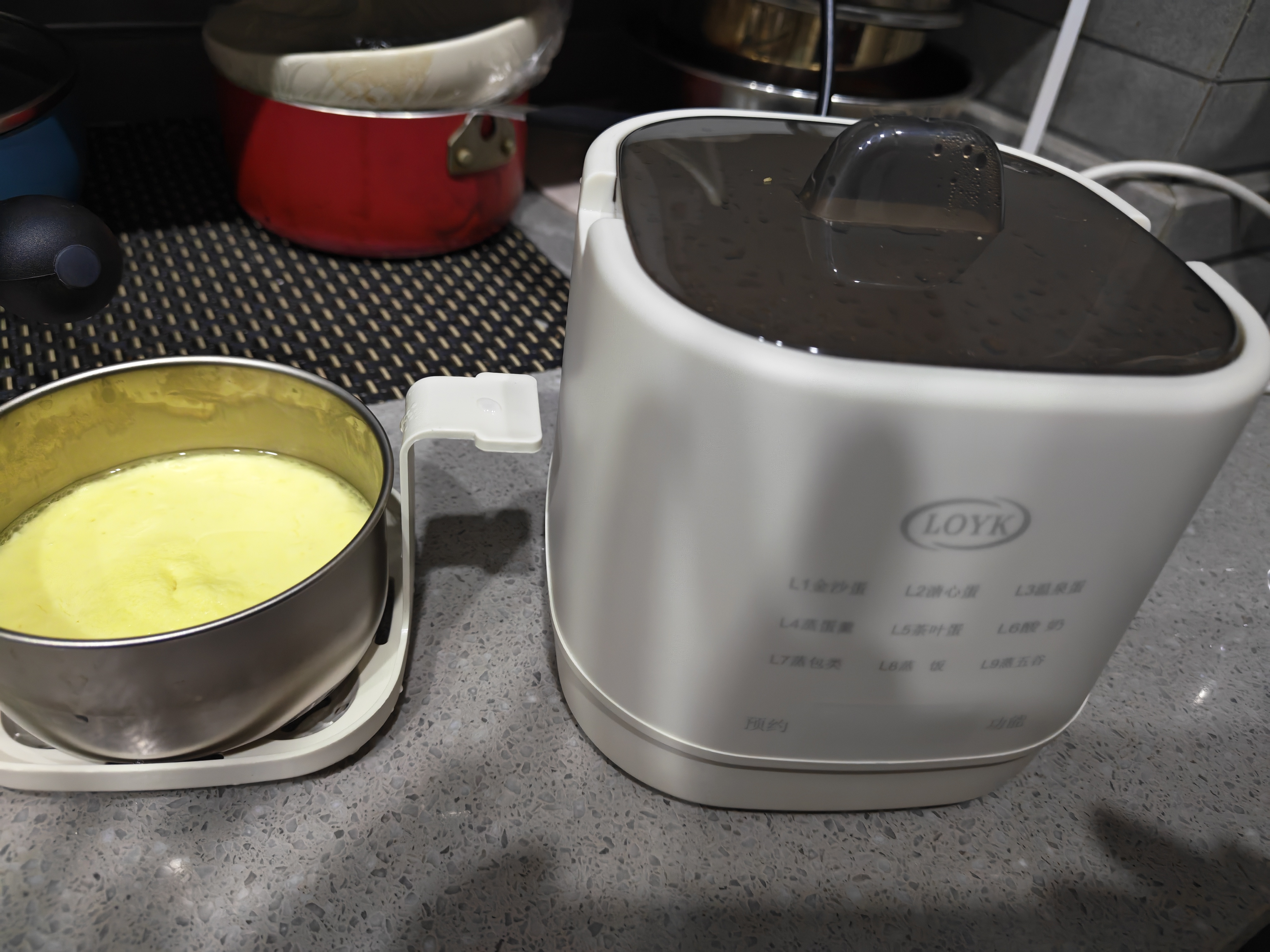 LOYK德国煮蛋器蒸蛋器全自动迷你小型煮鸡蛋神器智能定时蒸蛋器自动断电2025款多功能温泉蛋煮蛋神器 双层  米白色【蒸笼款】九大模式 实拍图
