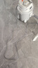 德尔玛（Deerma）【重磅单品】TJ700S 干吹两用吸尘器 家用商用 吸尘器桶式大吸力 整机降噪设计ZN-530 实拍图