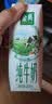 伊利【新鲜日期】金典纯牛奶早餐奶250ml*16盒3.6g乳蛋白 礼盒装 5月 实拍图