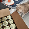 麦富迪猫罐头 红肉猫罐头猫咪零食成幼猫补水亮毛吞拿鱼鸡肉170g*24罐 实拍图