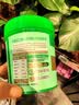 顶青湖凤凰单枞蜜兰香头春乌岽单丛特级高山潮州岭头乌龙茶50g铁罐装 实拍图