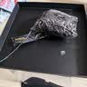 Wilson威尔胜篮球礼盒拉菲草灯带送礼（不含球）需自行组装 实拍图