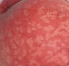 京鲜生山西脆蜜桃 净重4.5斤 单果150g+ 生鲜水果 源头直发包邮 实拍图