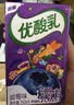 伊利【时代少年团同款】优酸乳蓝莓味250ml*24盒乳饮料新老包装随机发 实拍图