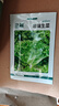 北蔬 生菜种子苗四季家庭种植菜种子阳台种 卓脆玻璃生菜种子约2000粒 实拍图