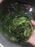赶海弟 盐渍海带苗250g 火锅食材配菜 新鲜头茬嫩苗海带芽丝 南北干货 实拍图