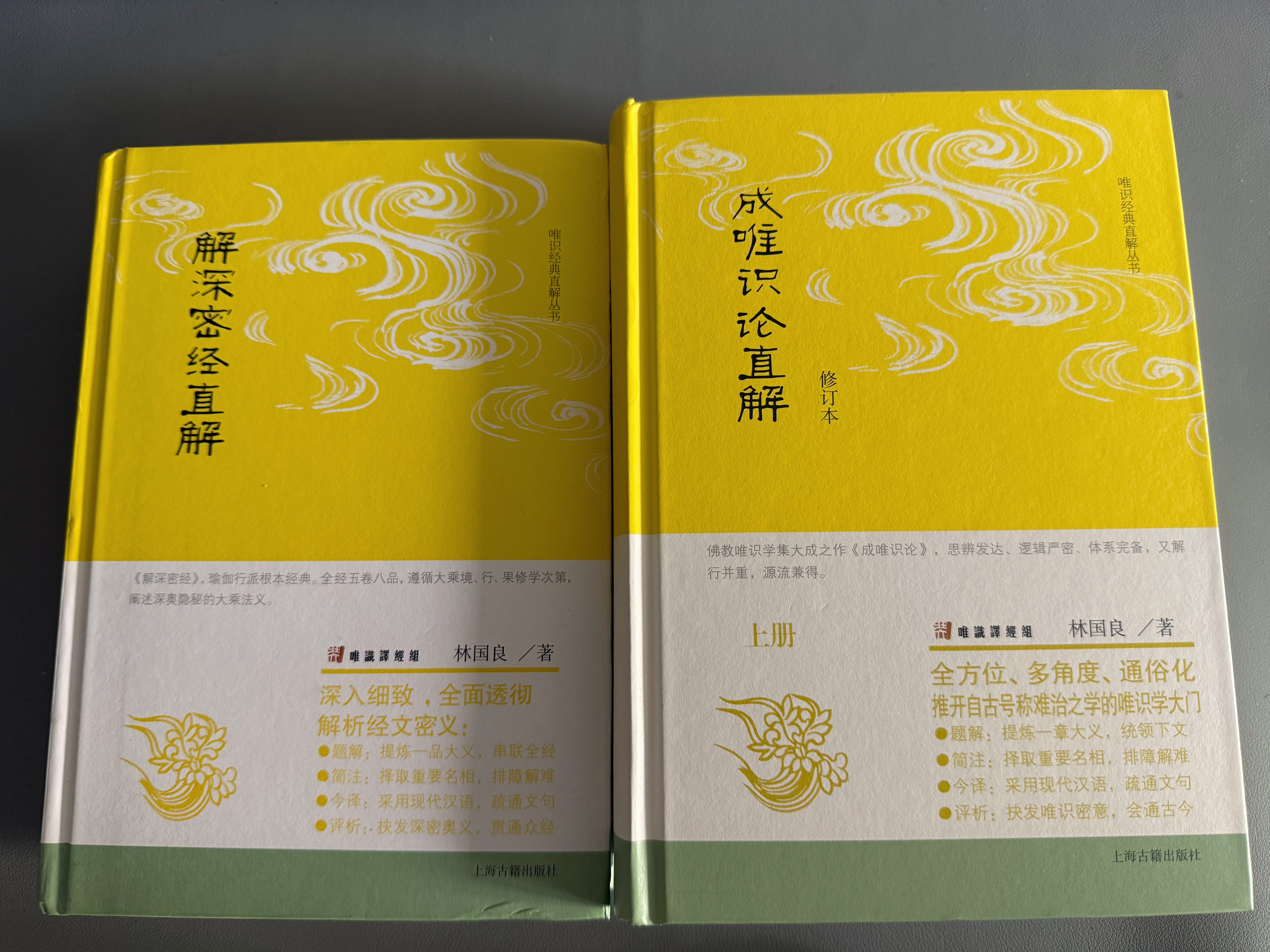 成唯识论直解(修订本)(全二册)/唯识经典直解丛书 实拍图