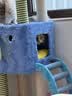 ZEZE【大号款】猫爬架猫窝猫树一体通天柱跳台大型不占地猫咪用品 实拍图
