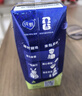 蒙牛【杨紫同款】纯甄青提龙井味风味酸牛奶200g*16盒整箱 春日限定 实拍图