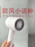 米家小米电吹风负离子静音护发速干吹风机H300家用学生宿舍送女友生日礼物过节自营 实拍图