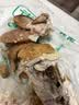 画宝刚道口烧鸡500克五香卤鸡扒鸡熟食腊味真空 河南老字号特产美食 实拍图