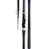 达亿瓦（DAIWA）23新款LBT C 矶 CS Q 手海两用竿远投滑漂矶竿斜导环矶钓竿 4.5m 3号 （3-45LR 斜导环） 不支持使用/试用后退换货 实拍图