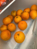 京鲜生【夏季限定】云南青皮蜜桔酸桔子净重3斤单果55mm+源头直发包邮 实拍图