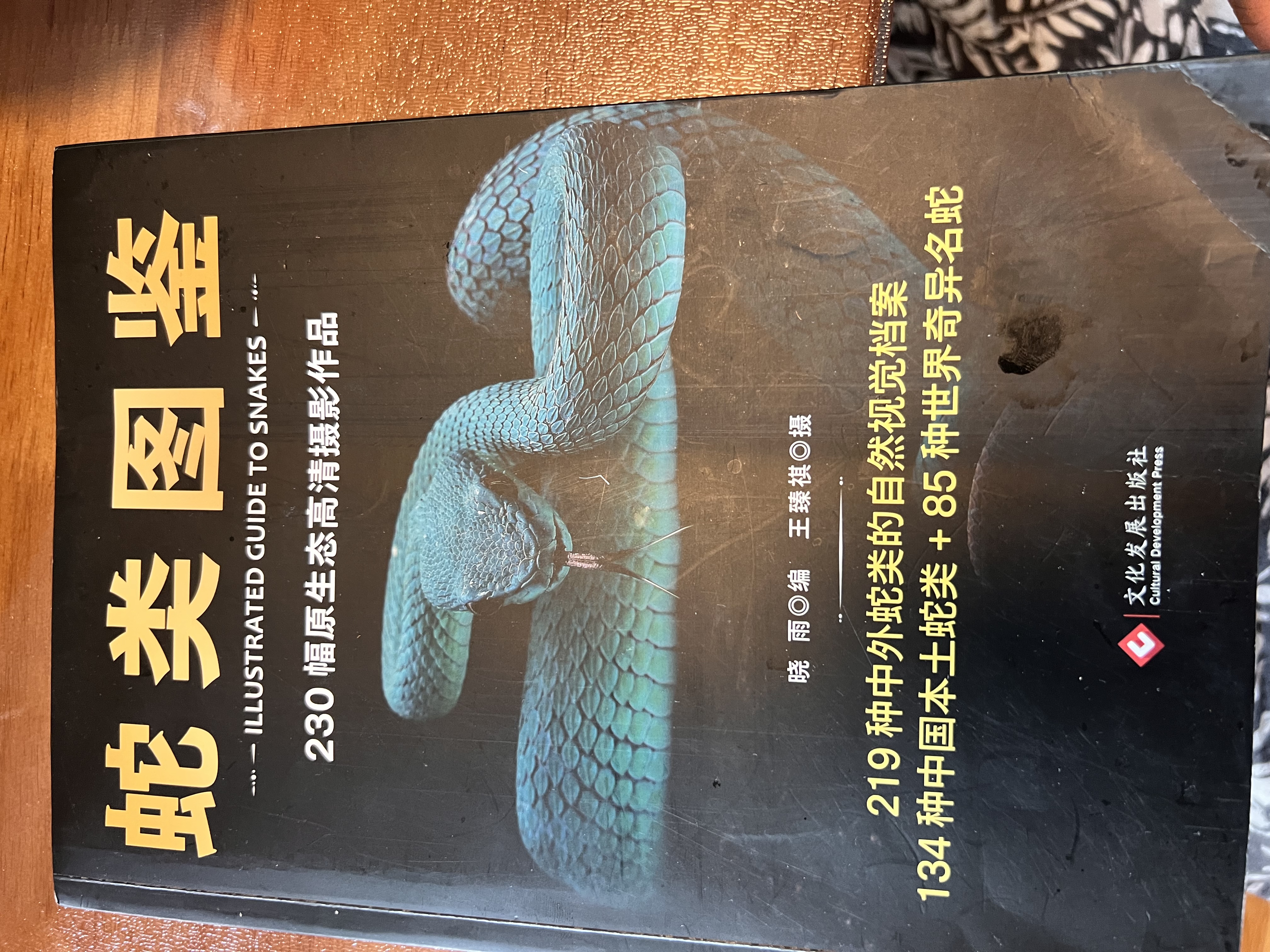 正版 蛇类图鉴 230幅原生态高清摄影 219种中外蛇类科普图鉴 彩图版蟒蛇蛇类百科全书图鉴蛇类特点习性行为习惯科普动物蛇类书籍 3册 蛇类图鉴+鸟图鉴+蝴蝶图鉴 实拍图