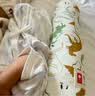 babycare婴儿安抚枕头宝宝多功能抱枕透气枕头6月-6岁-比奇角恐龙39*12cm 实拍图