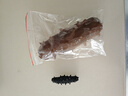 官参堂 大连底播淡干海参干货9年辽刺参海鲜水产礼盒 简装 甄选 500g*1盒 50-70只 实拍图