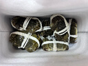 【活蟹】湖鲜阳澄 大闸蟹 去绳足重 2.3-2.6两 10只 鲜活六月黄现货超大螃蟹生鲜礼盒装 实拍图