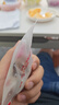 京鲜生 富平流心柿饼 净重1斤 约12-15粒  生鲜水果礼盒 实拍图