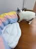 ZEZE猫隧道猫床猫咪通道四季通用可拆洗幼猫玩具宠物猫咪用品 实拍图