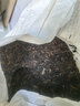 大益TAETEA茶叶普洱茶熟茶50周年纪念金针白莲357g2301批次 高品熟茶 实拍图