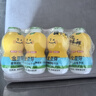 金豆芽儿童金银花柚子汁155ml*16瓶夏天孩子饮料宝宝果汁西柚汁 实拍图