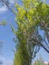 京东京造 蜂窝凝胶坐垫 夏季通风透气冰垫汽车坐垫居家办公椅垫 实拍图