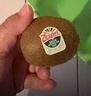 佳沛（zespri）绿奇异果经典果6粒 单果约89-103g   水果猕猴桃  源头直发 实拍图
