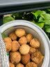 南同神州同仁堂新疆日晒无花果果肉饱满舒缓口鼻干燥热泡水煲汤天然干货 实拍图