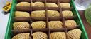 佳沛（zespri）新西兰阳光金奇异果16粒礼盒经典果单果 88-103g  猕猴桃水果礼盒 实拍图
