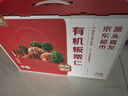 京觅有机板栗仁2kg（100g*20）甘栗仁休闲零食 实拍图